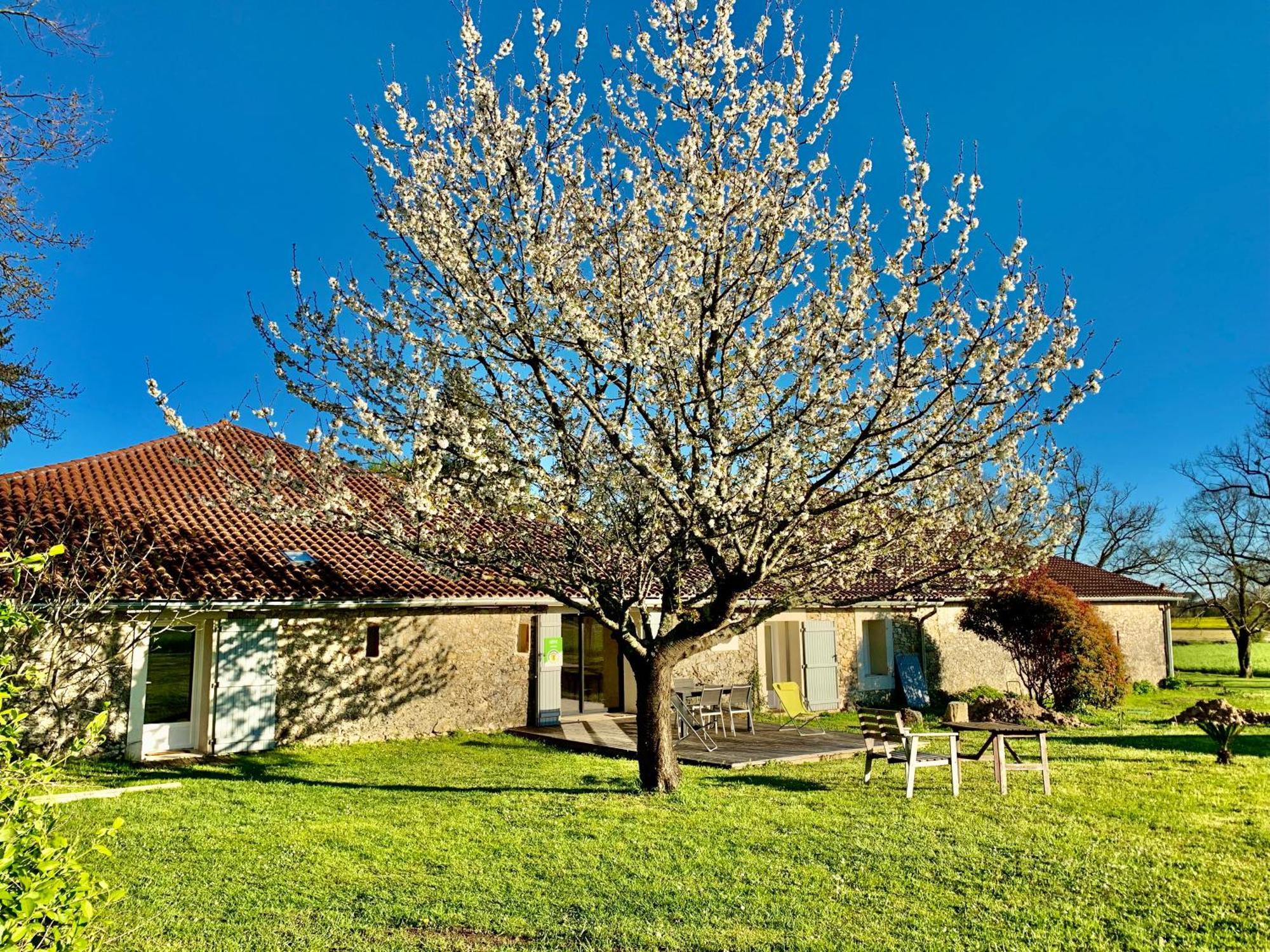 Le Poutic Gite Et Maison D'Hotes Creon-d'Armagnac Екстер'єр фото