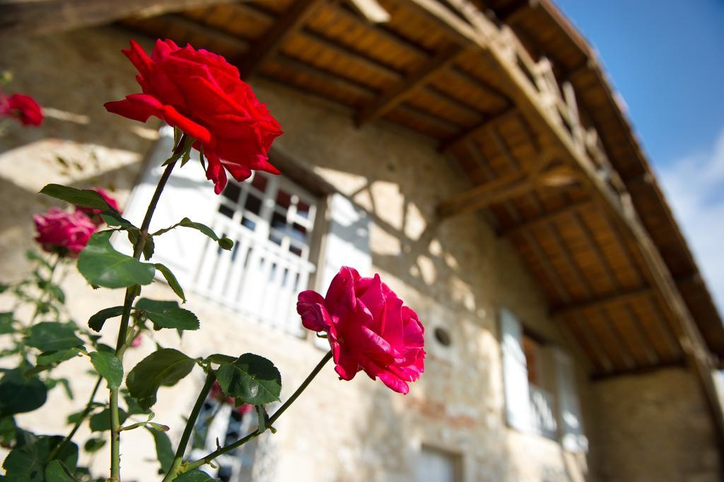 Le Poutic Gite Et Maison D'Hotes Creon-d'Armagnac Екстер'єр фото